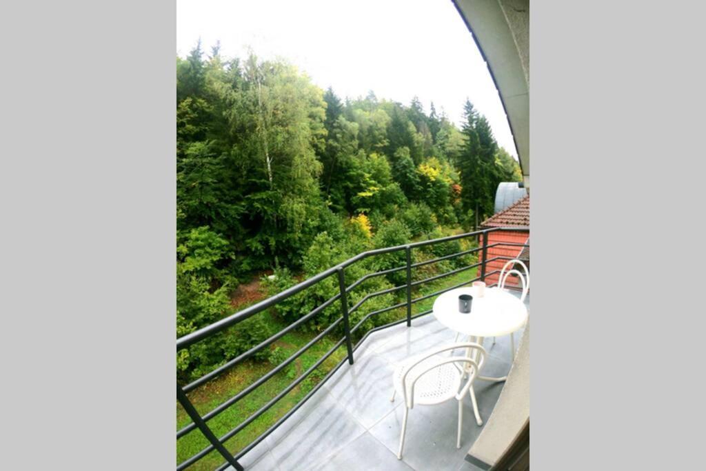 The Mountain Loft Klinovec - With Infrasauna Jachymov Ngoại thất bức ảnh