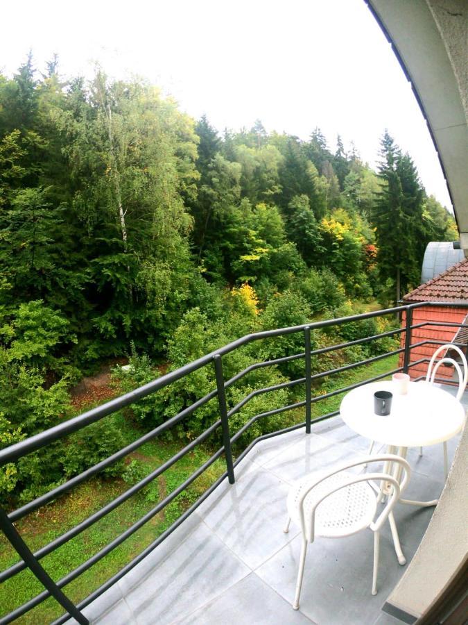 The Mountain Loft Klinovec - With Infrasauna Jachymov Ngoại thất bức ảnh